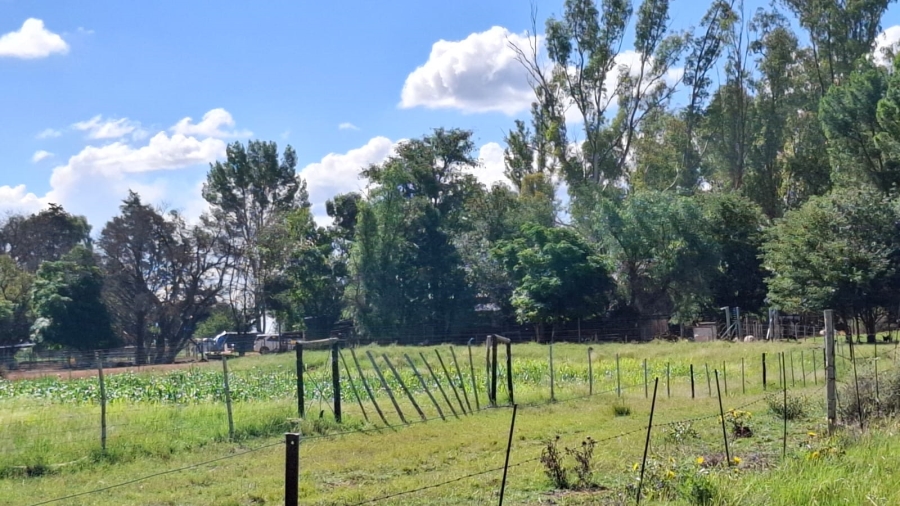  Bedroom Property for Sale in Bloemfontein Rural Free State